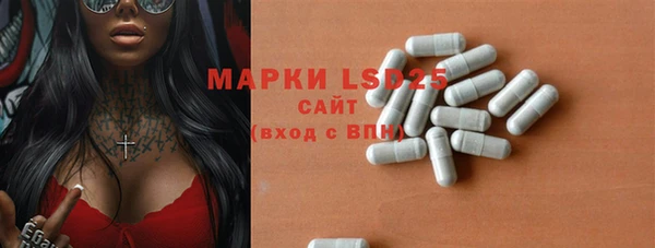круглые Аркадак