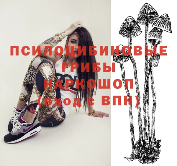 mdpv Армянск