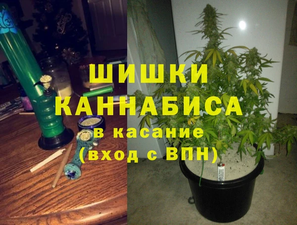 круглые Аркадак