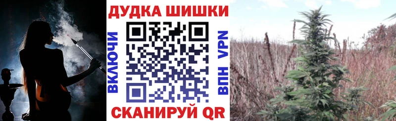 закладки  МЕГА зеркало  МАРИХУАНА планчик  Красный Холм 